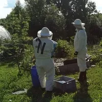 205451915_4133245493423199_315329607828443320_n.jpg
